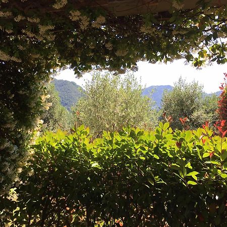Agriturismo Tenuta La Fratta บาญญี ดี ลุกกา ภายนอก รูปภาพ