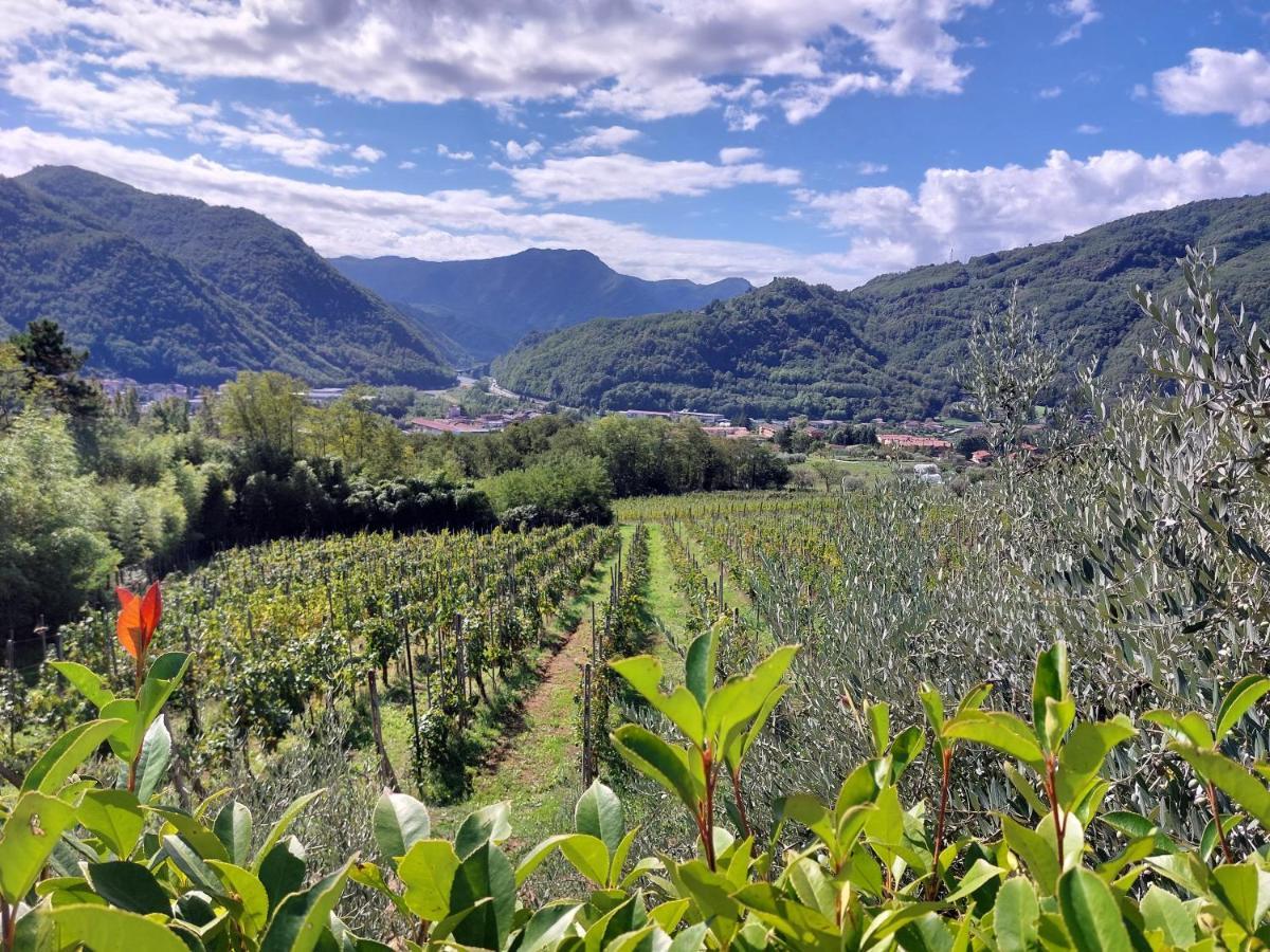 Agriturismo Tenuta La Fratta บาญญี ดี ลุกกา ภายนอก รูปภาพ