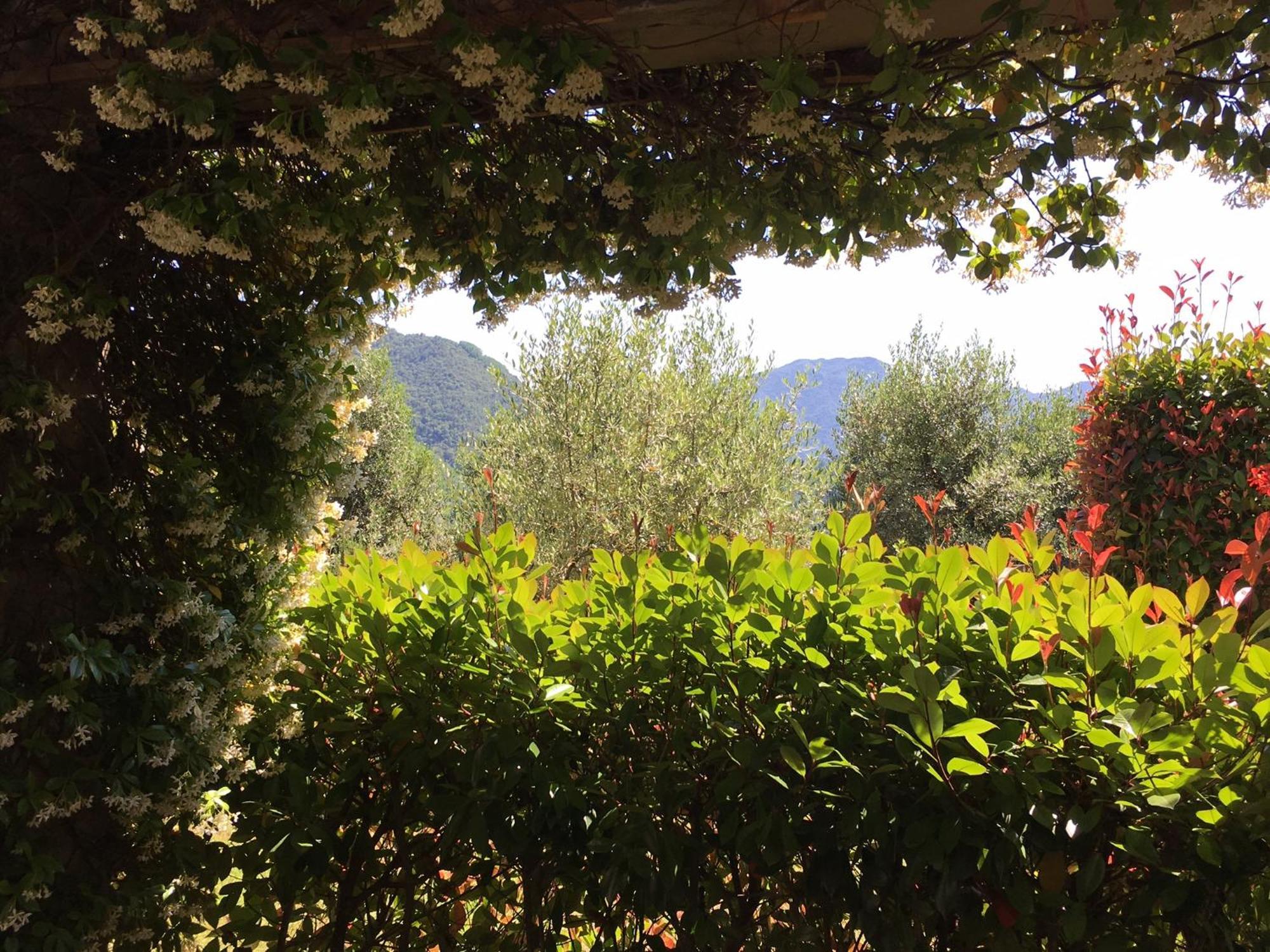 Agriturismo Tenuta La Fratta บาญญี ดี ลุกกา ภายนอก รูปภาพ